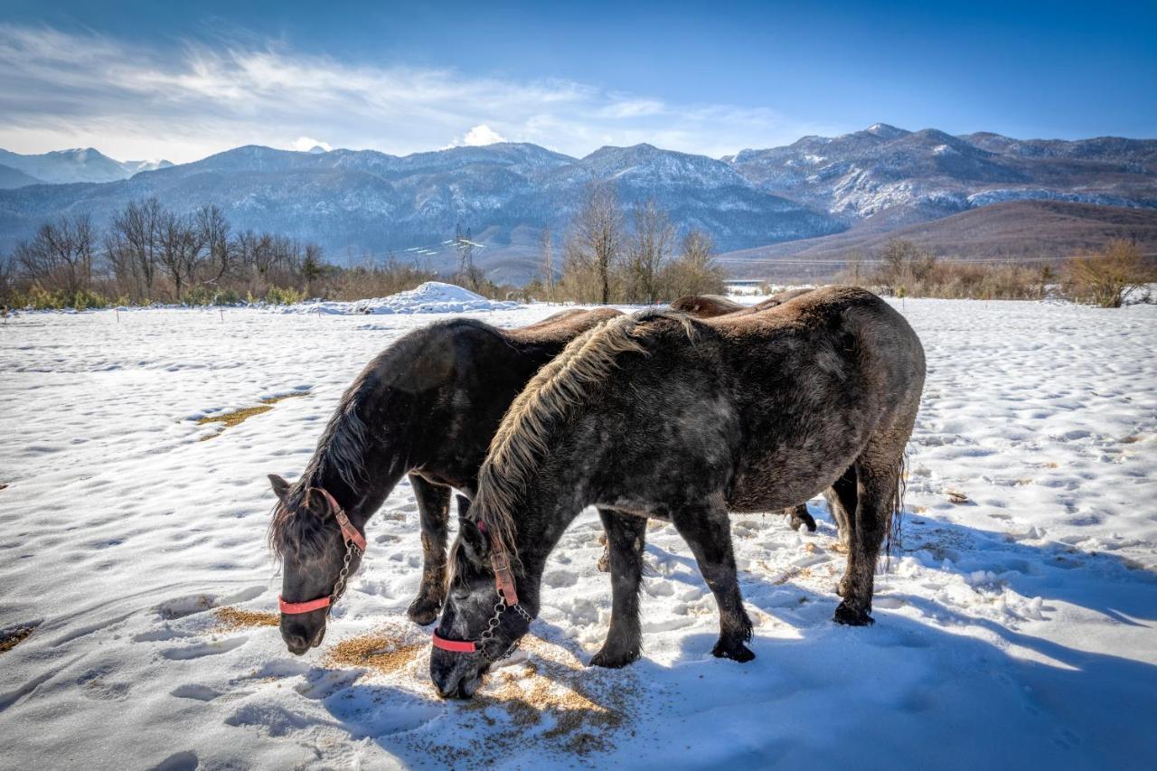 Вилла House Under The Velebit Mountain Medak Экстерьер фото