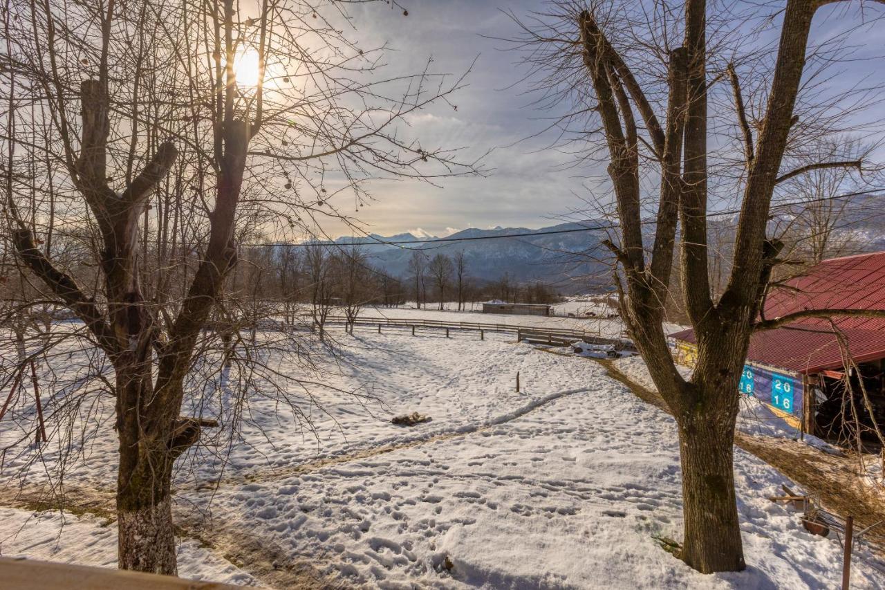 Вилла House Under The Velebit Mountain Medak Экстерьер фото