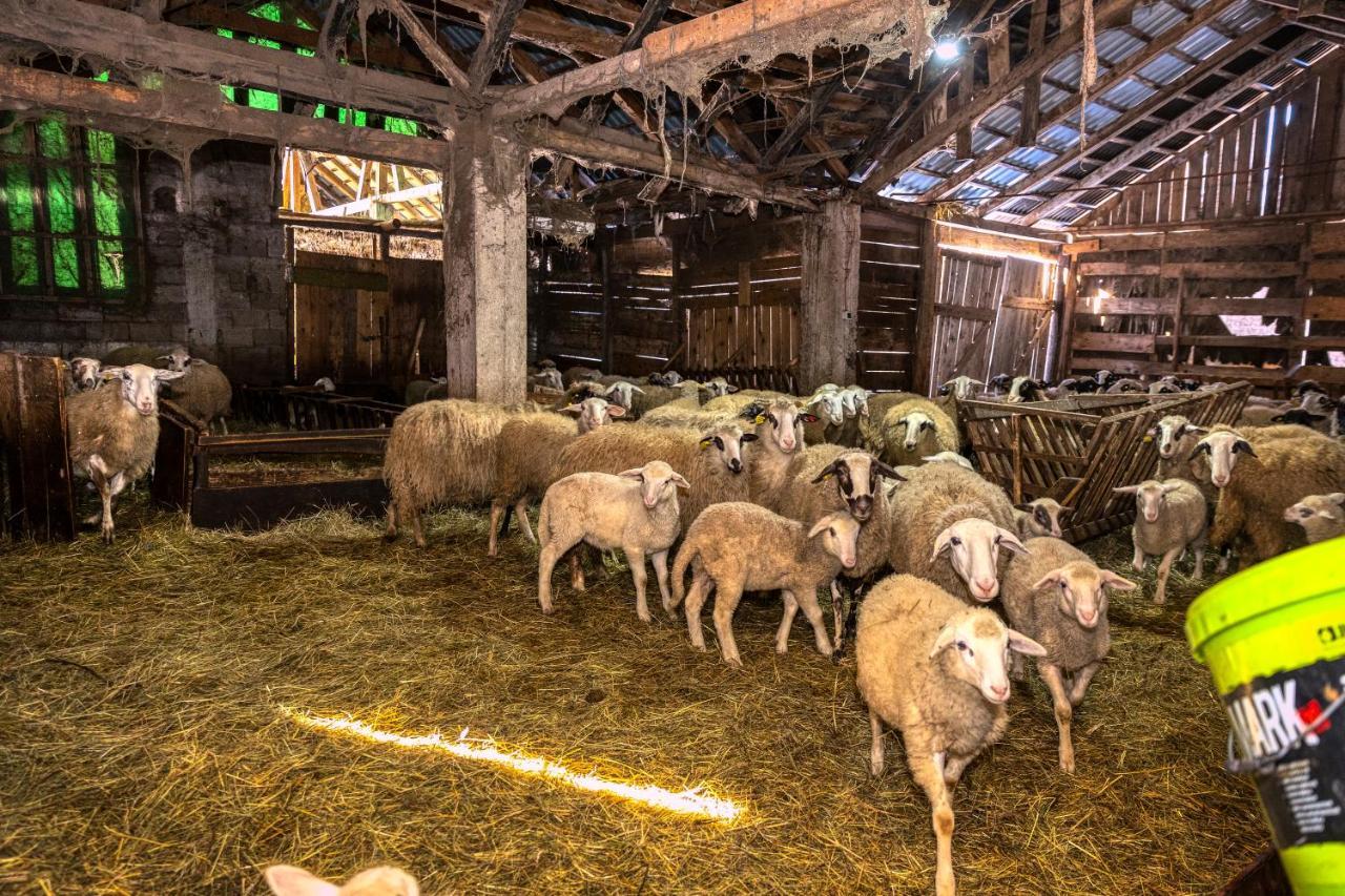 Вилла House Under The Velebit Mountain Medak Экстерьер фото