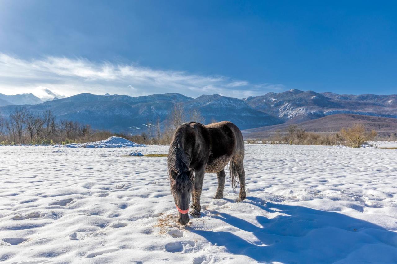 Вилла House Under The Velebit Mountain Medak Экстерьер фото